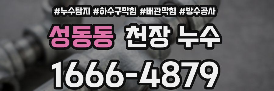 성동동 천장 누수