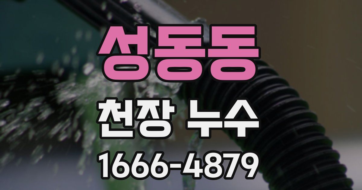 성동동 천장 누수
