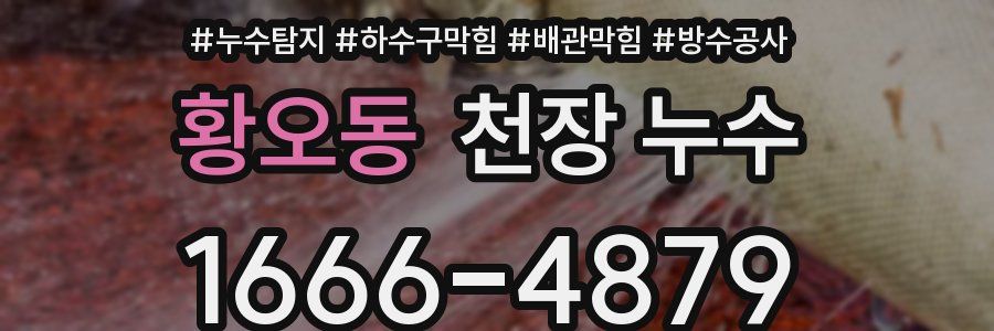 황오동 천장 누수