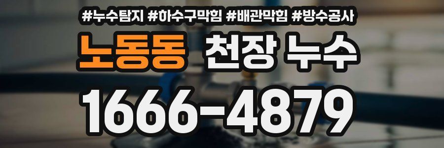 노동동 천장 누수