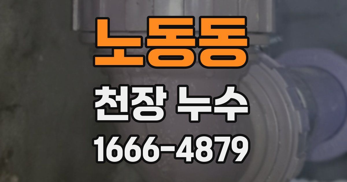 노동동 천장 누수
