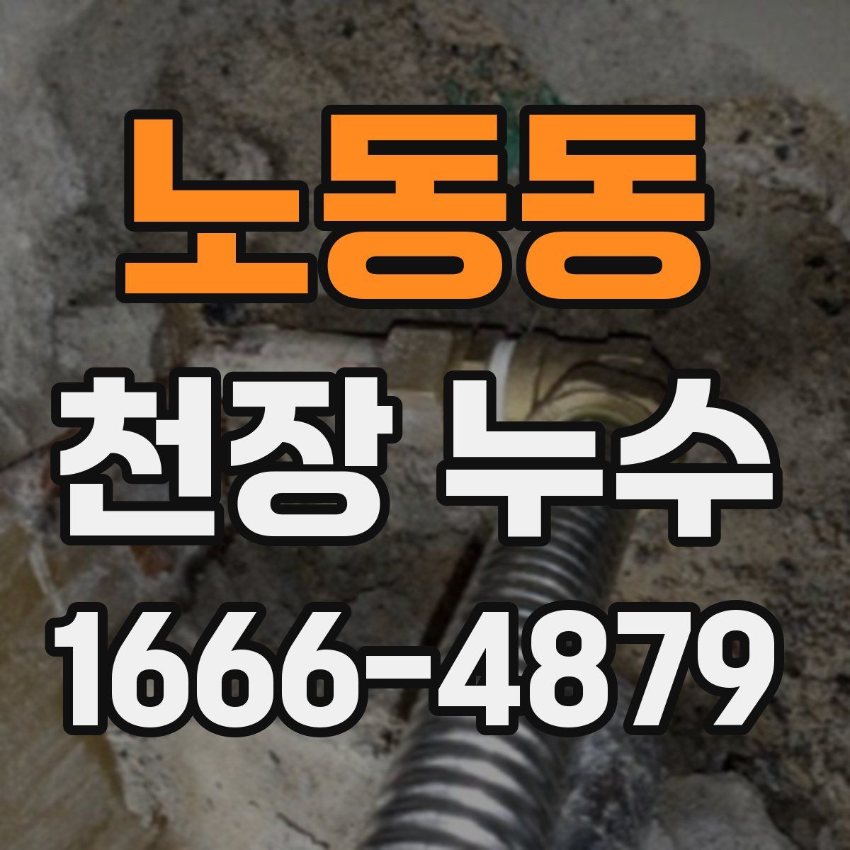 노동동 천장 누수