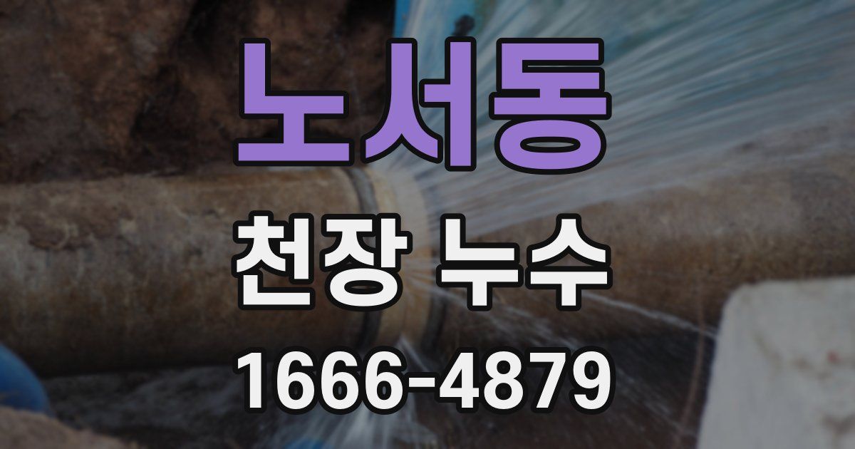노서동 천장 누수