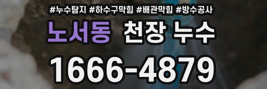 노서동 천장 누수