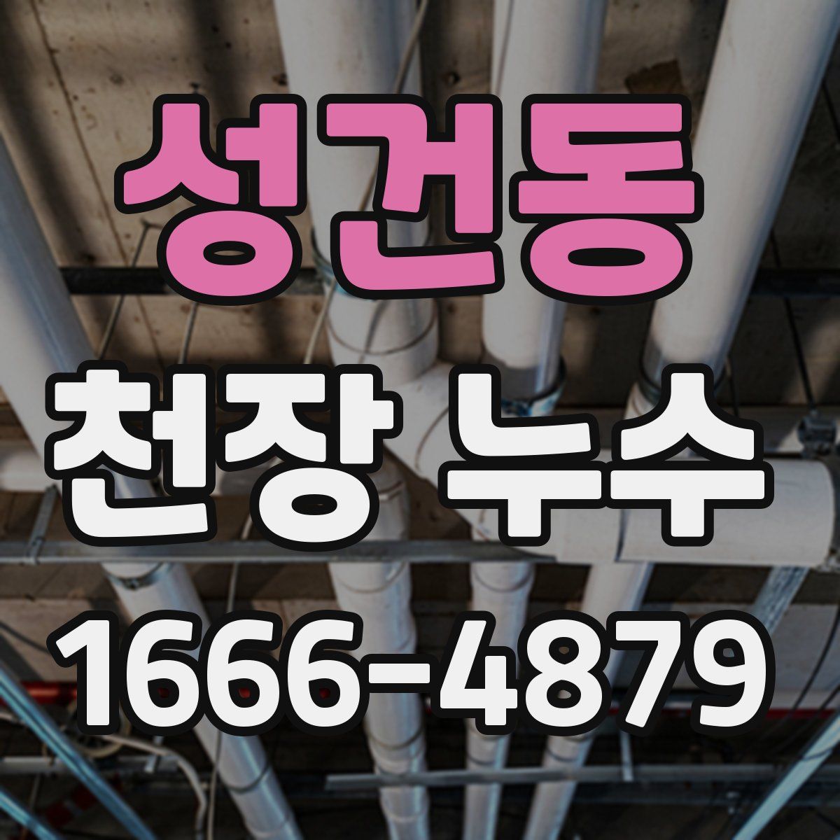성건동 천장 누수