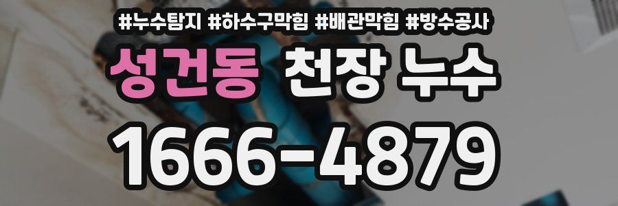 성건동 천장 누수