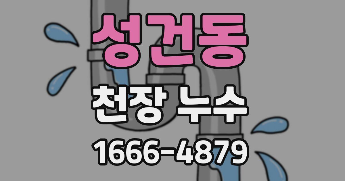 성건동 천장 누수