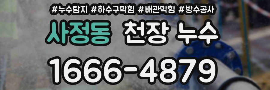 사정동 천장 누수