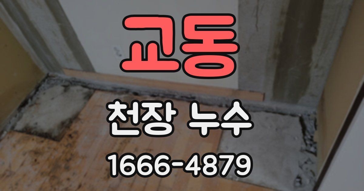 교동 천장 누수