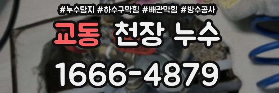 교동 천장 누수