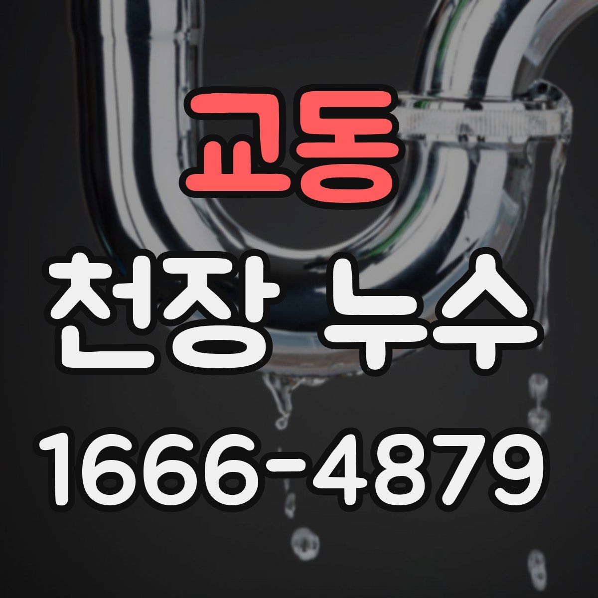 교동 천장 누수