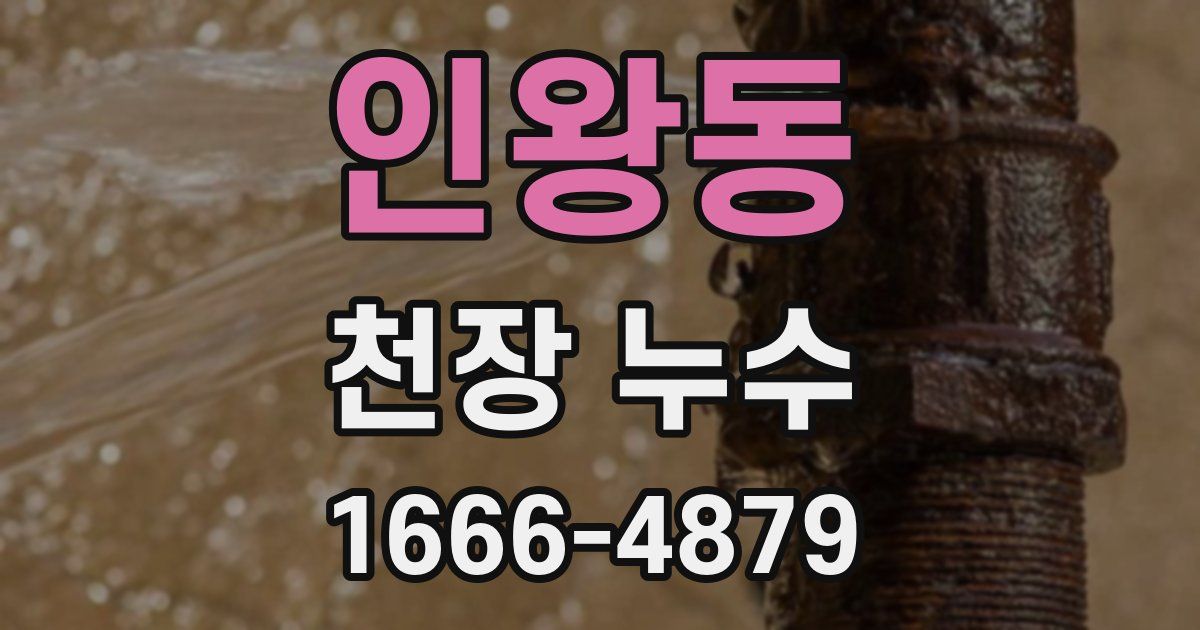 인왕동 천장 누수