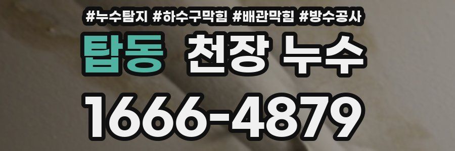 탑동 천장 누수