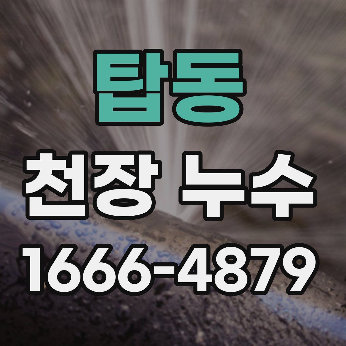탑동 천장 누수