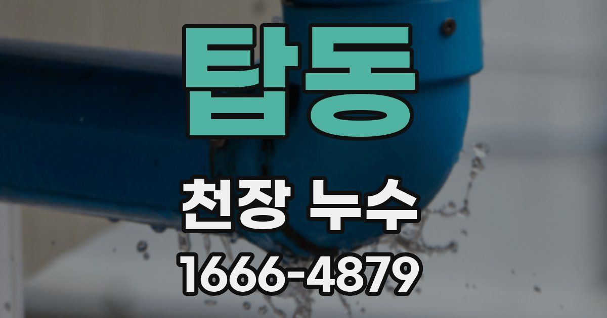 탑동 천장 누수