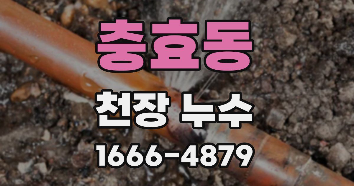충효동 천장 누수