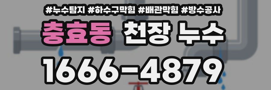 충효동 천장 누수
