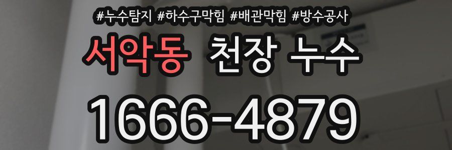 서악동 천장 누수