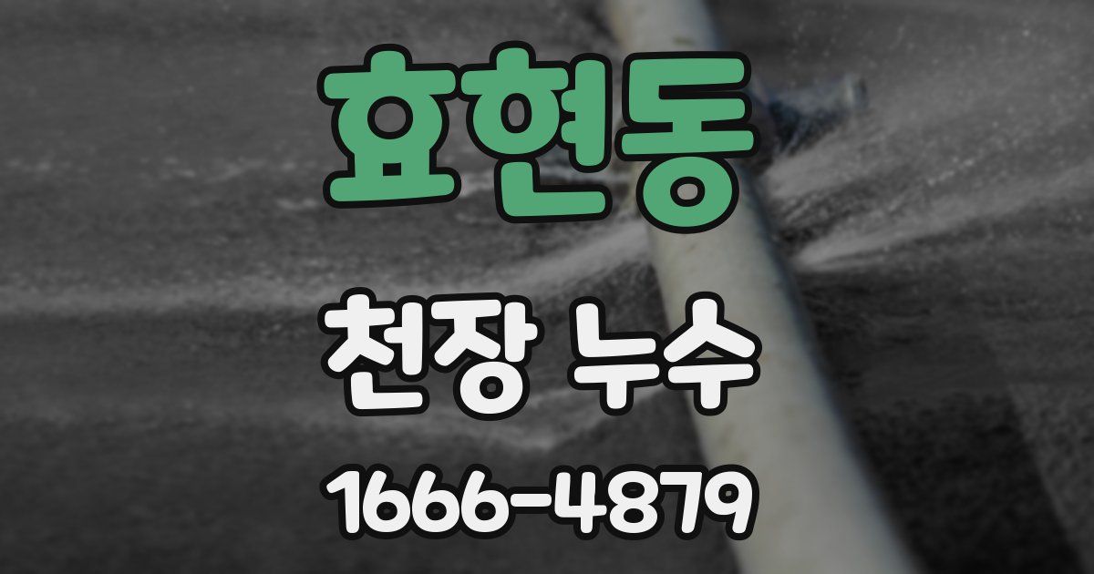 효현동 천장 누수