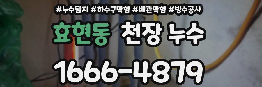 효현동 천장 누수