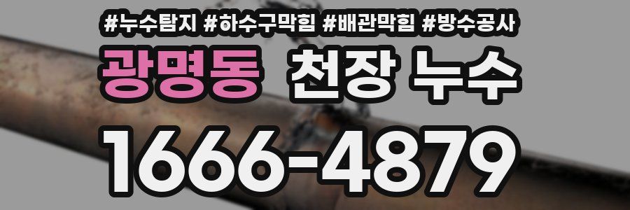 광명동 천장 누수