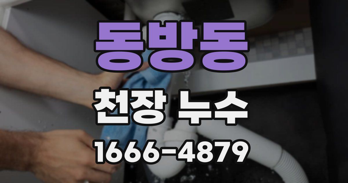 동방동 천장 누수