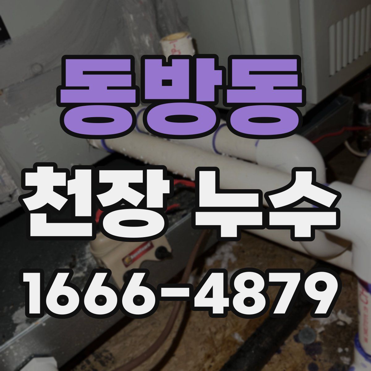동방동 천장 누수