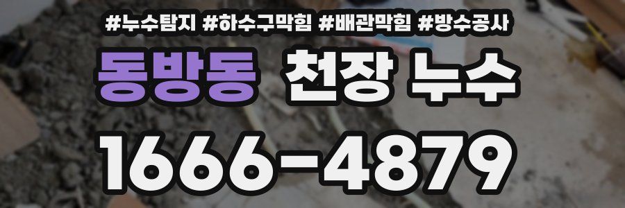 동방동 천장 누수