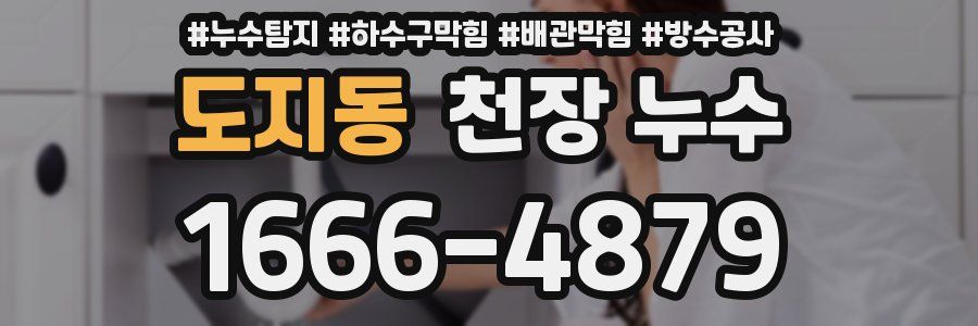 도지동 천장 누수
