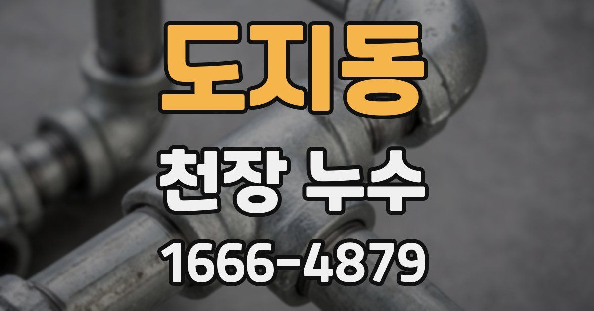 도지동 천장 누수