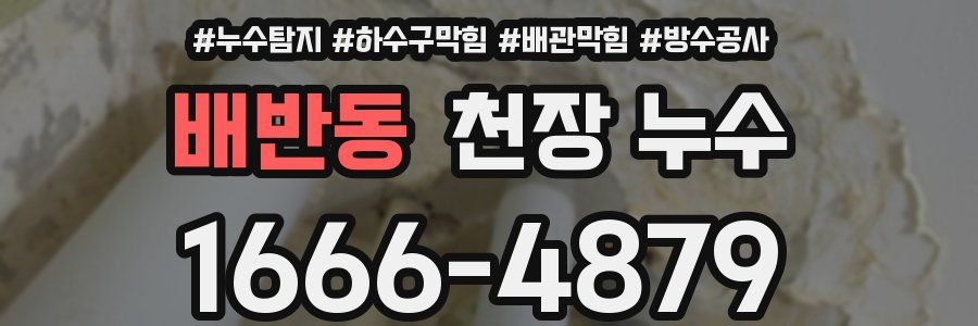 배반동 천장 누수