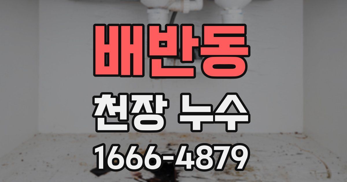 배반동 천장 누수