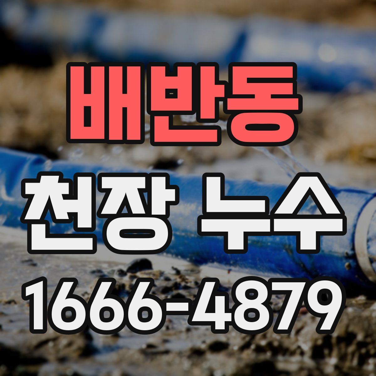 배반동 천장 누수