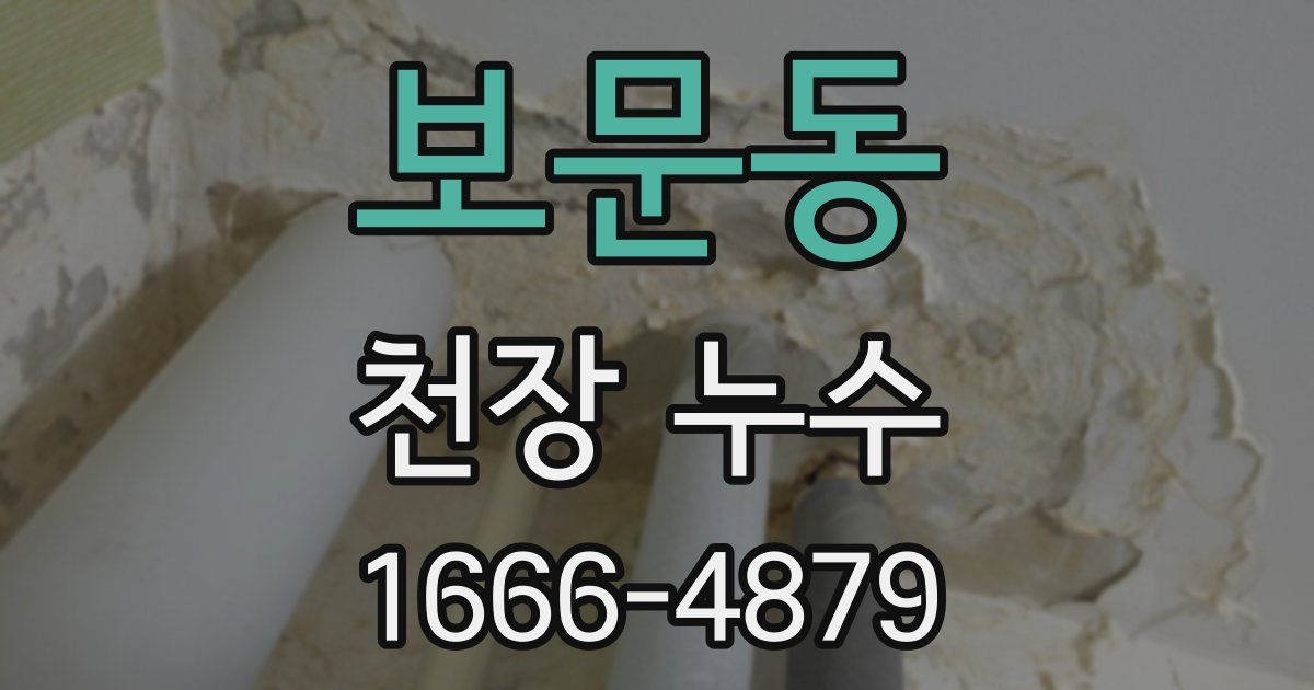 보문동 천장 누수