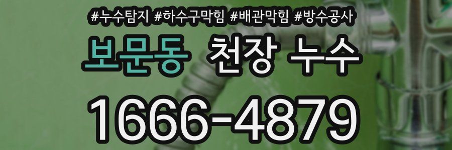 보문동 천장 누수