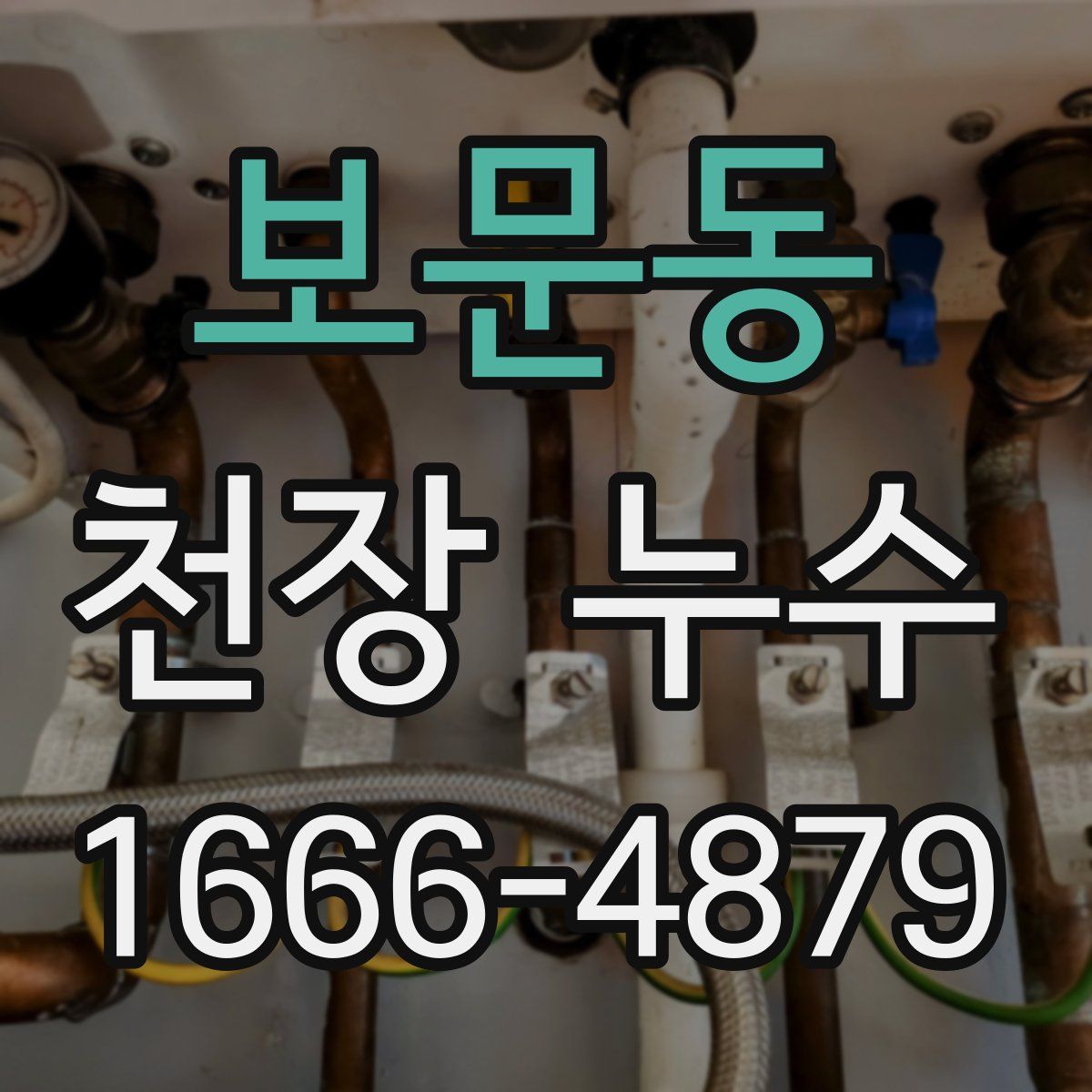 보문동 천장 누수