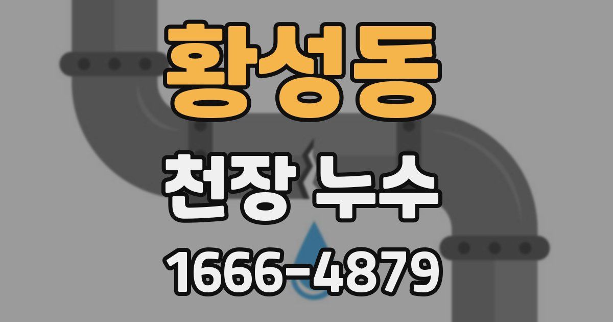 황성동 천장 누수