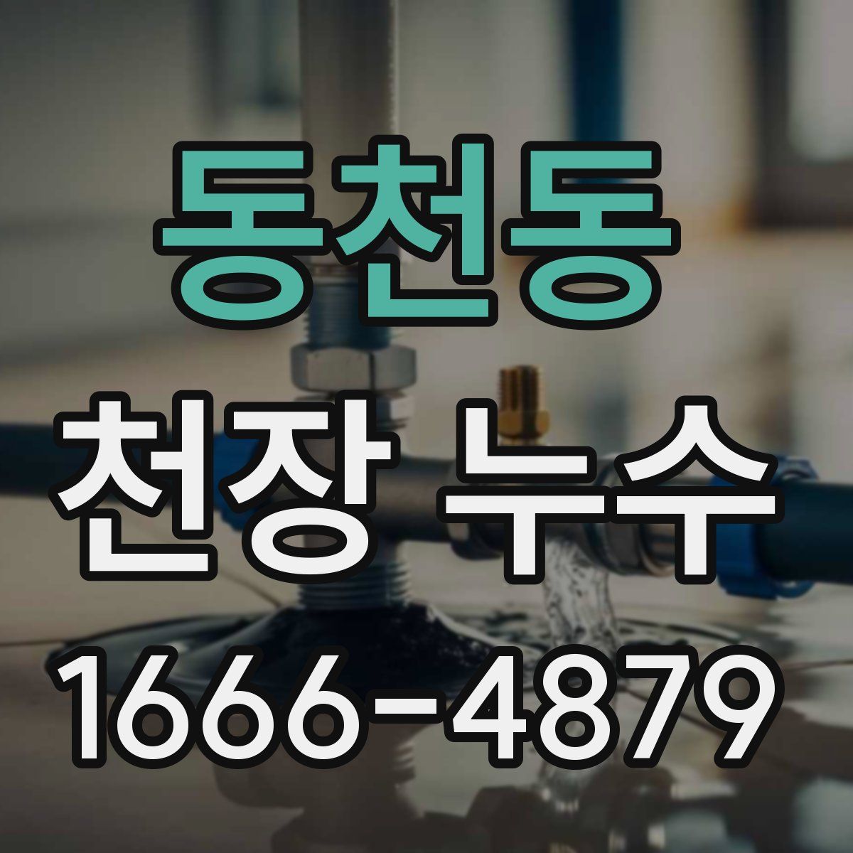 동천동 천장 누수