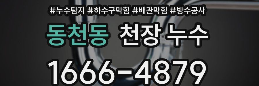 동천동 천장 누수