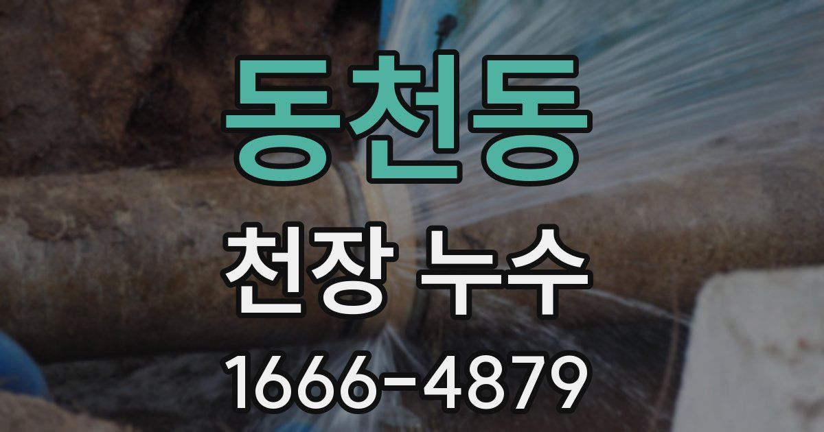 동천동 천장 누수