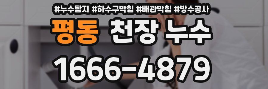 평동 천장 누수