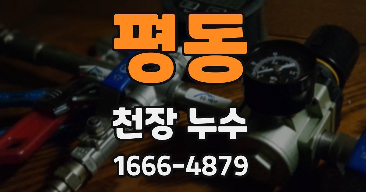평동 천장 누수