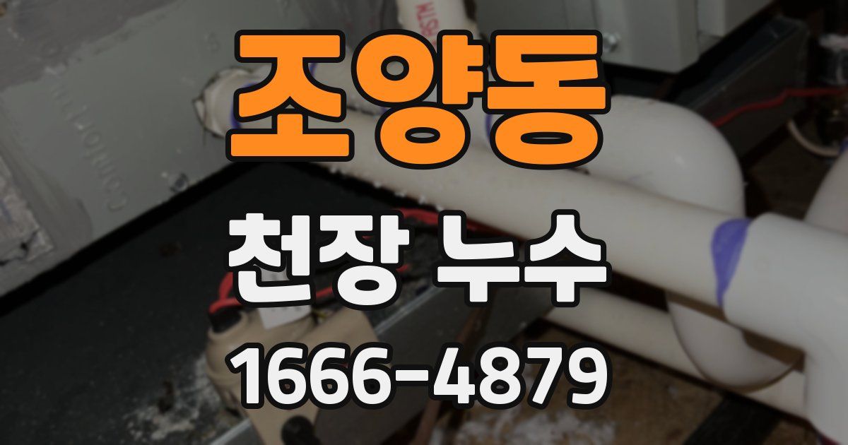 조양동 천장 누수