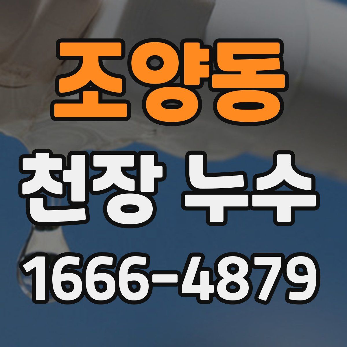 조양동 천장 누수
