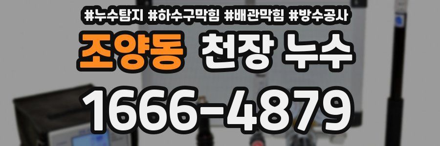 조양동 천장 누수