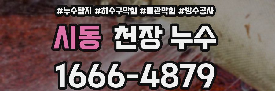 시동 천장 누수
