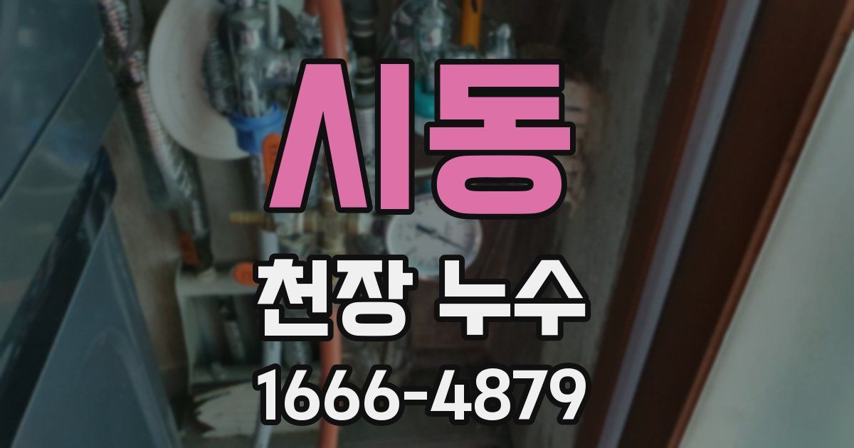 시동 천장 누수