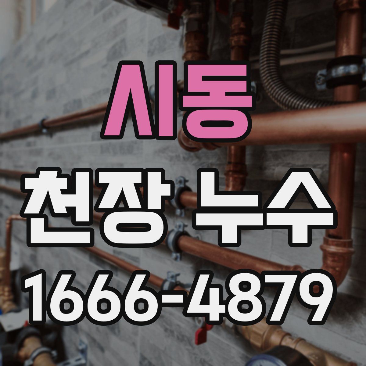 시동 천장 누수