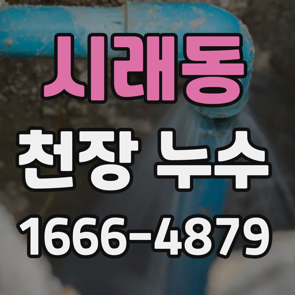 시래동 천장 누수