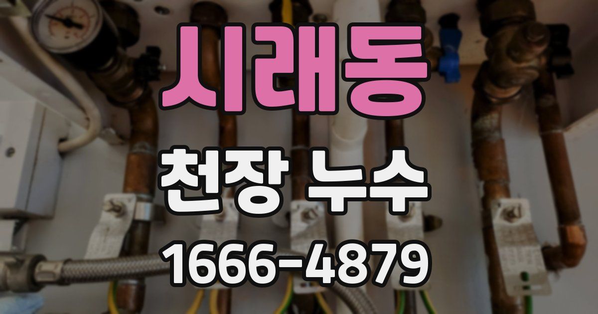 시래동 천장 누수